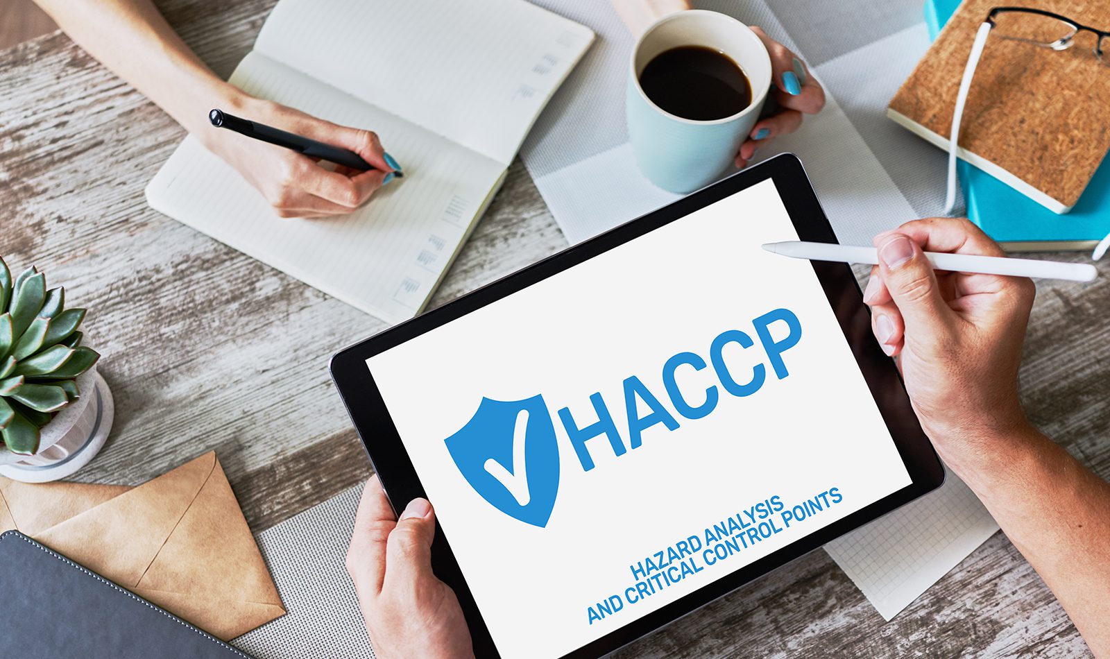 Decorative image for our Understanding HACCP online course